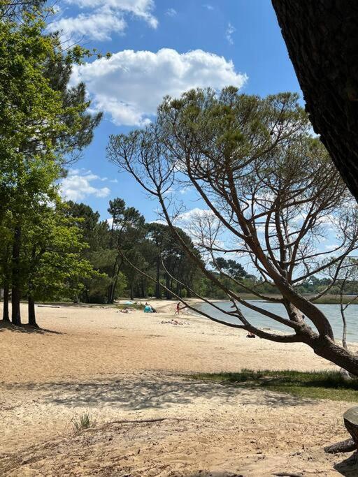 סנגווינה Agreable Maison Landaise Proche Du Lac מראה חיצוני תמונה